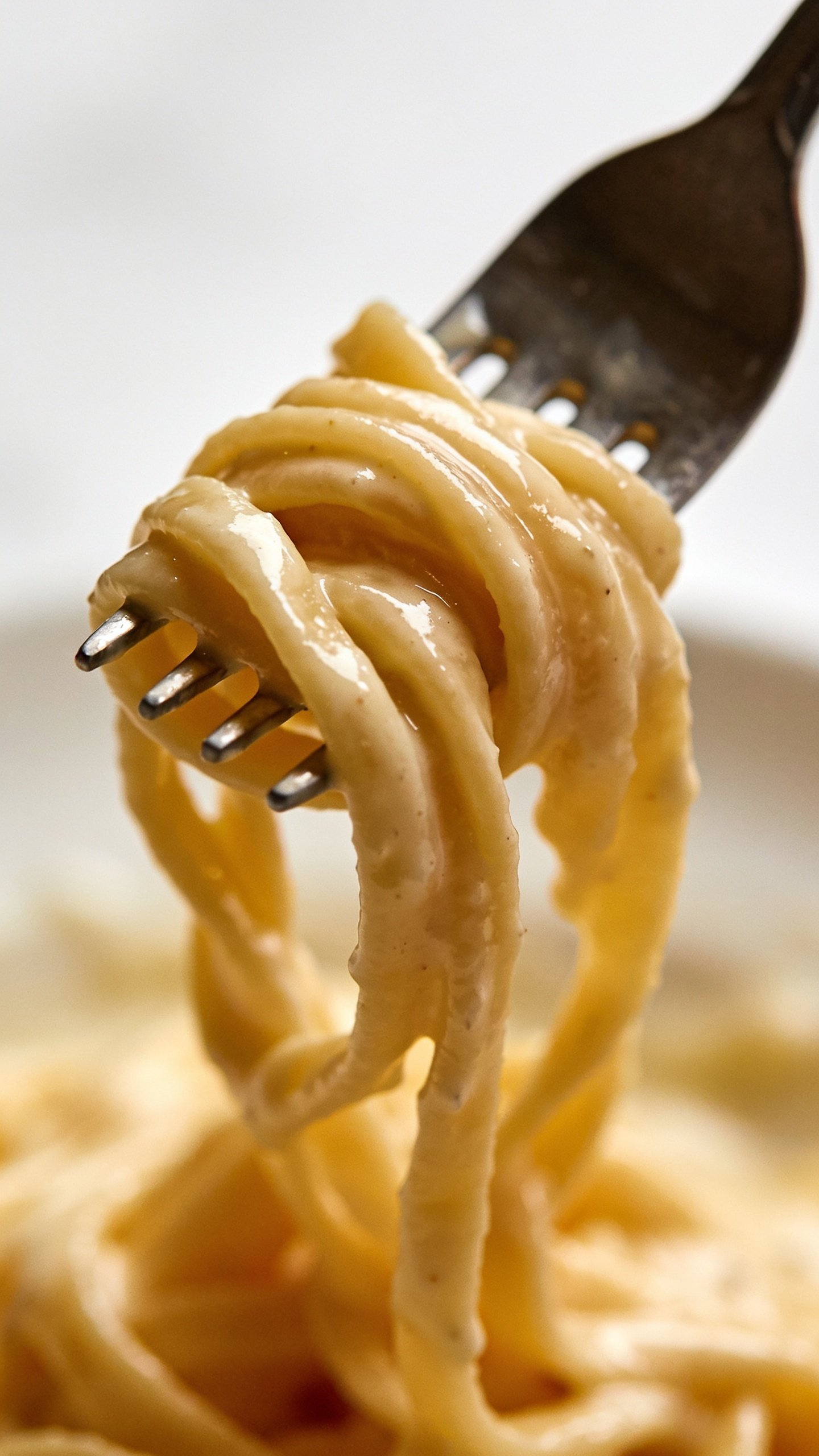 Close-up of a single fork twirling al dente pasta with Alfredo sheen